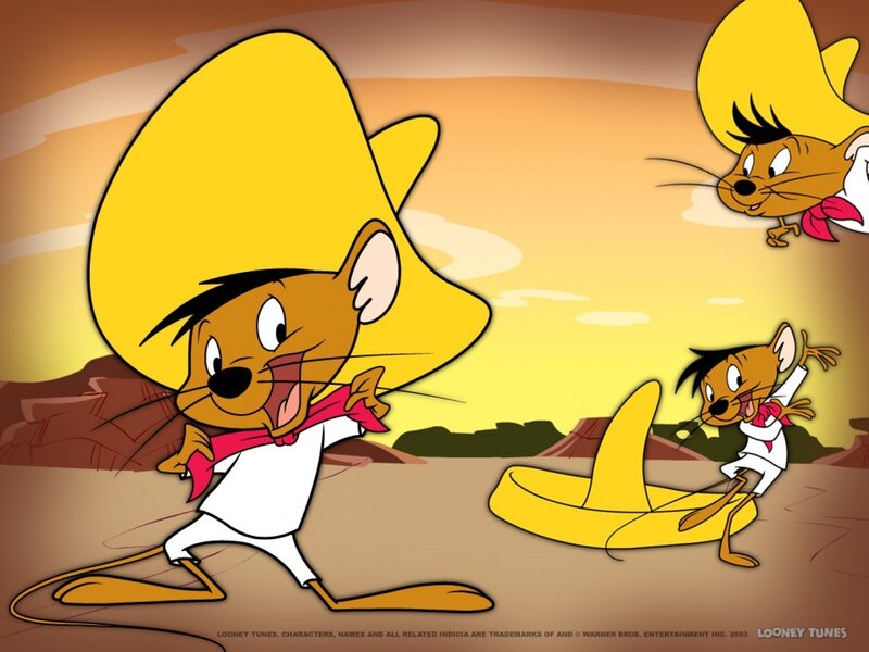 Mouse in Sombrero