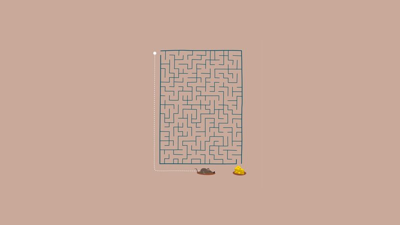 mouse maze puzzle