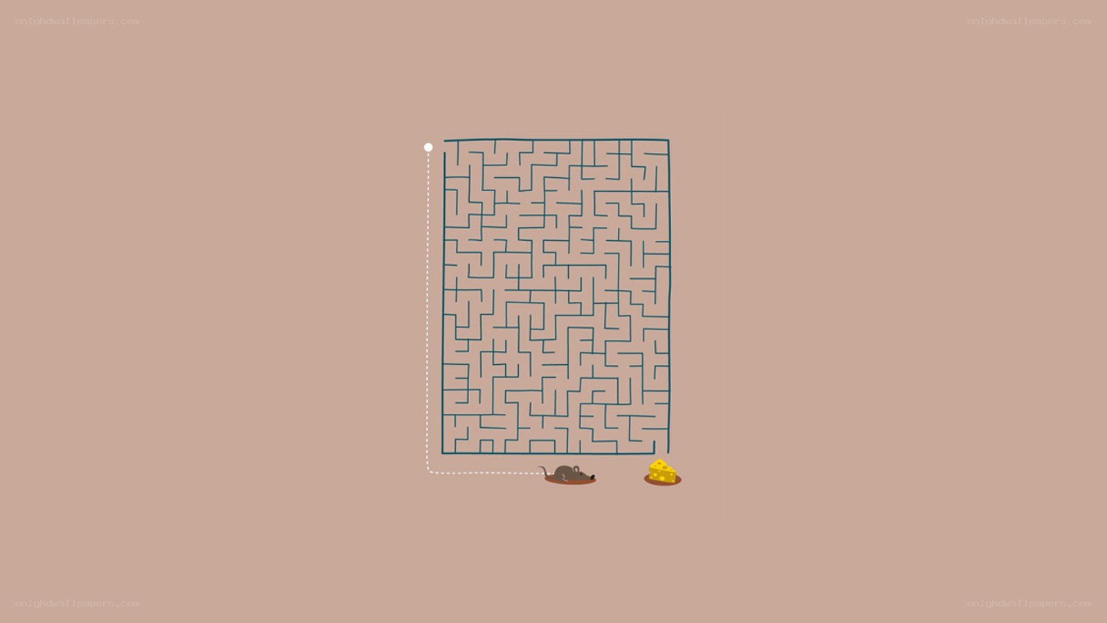 mouse maze puzzle