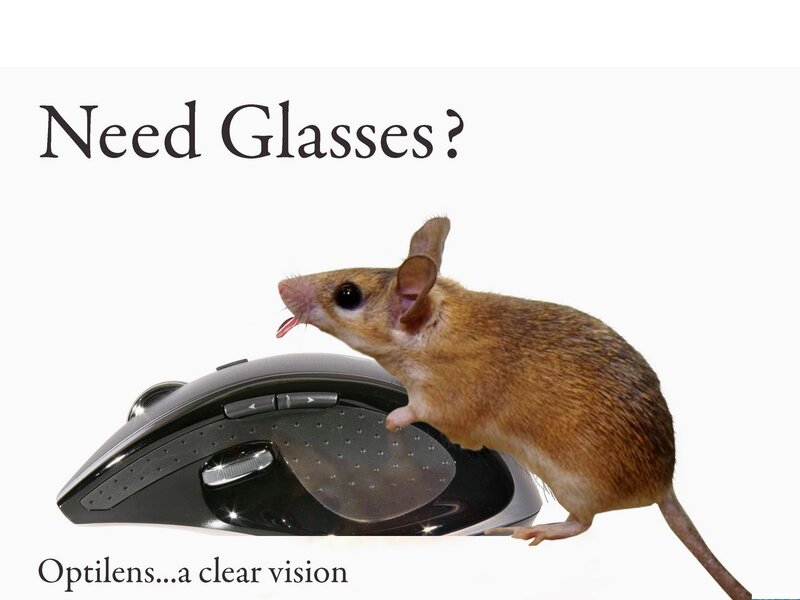 Mouse on Computer Mouse — Brown