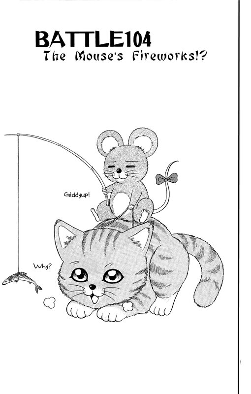 Mouse's Fireworks Battle