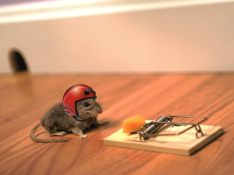 Mouse Wearing Helmet — Brown