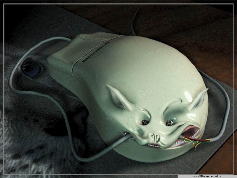 mouse with cat face