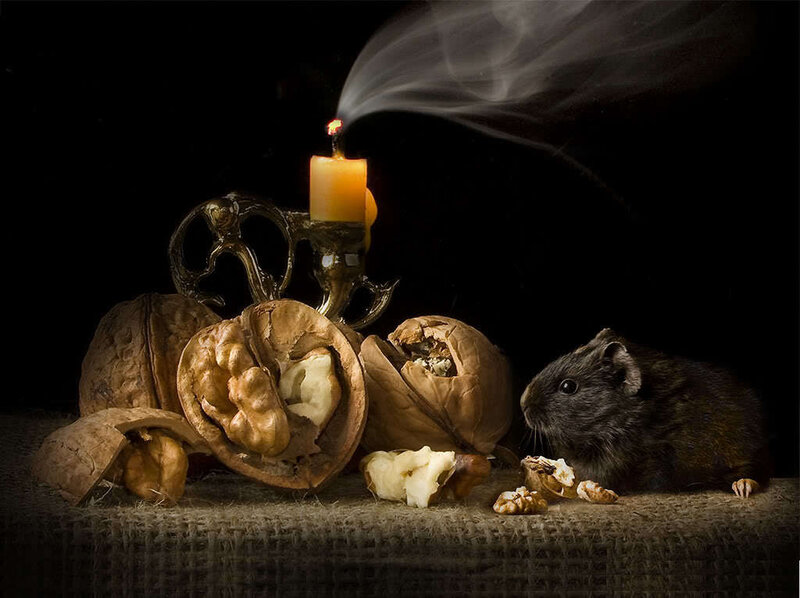 Mouse with walnuts and candle