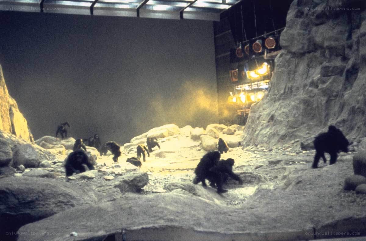Movie set with chimpanzees
