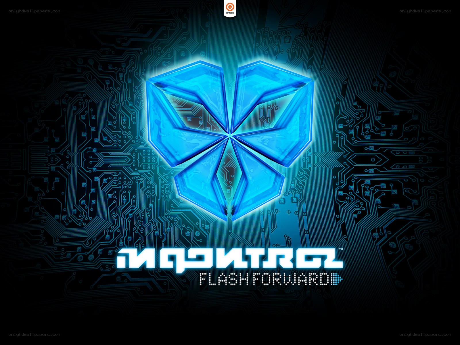 Mqcontrol Flash Forward logo