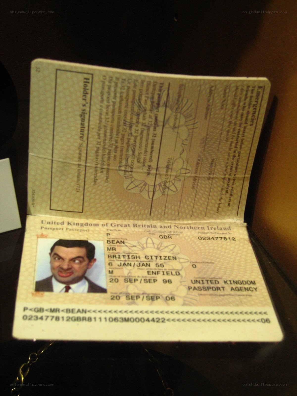 Mr. Bean passport