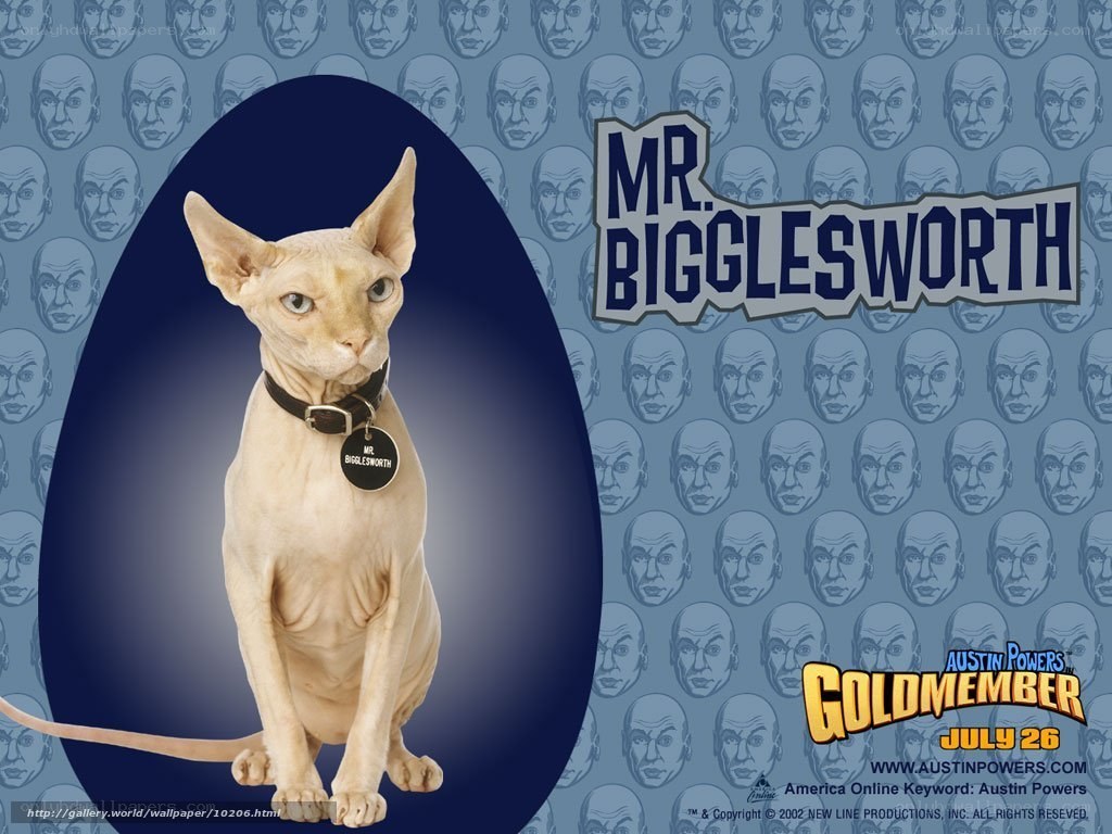 Mr. Bigglesworth from Austin Powers