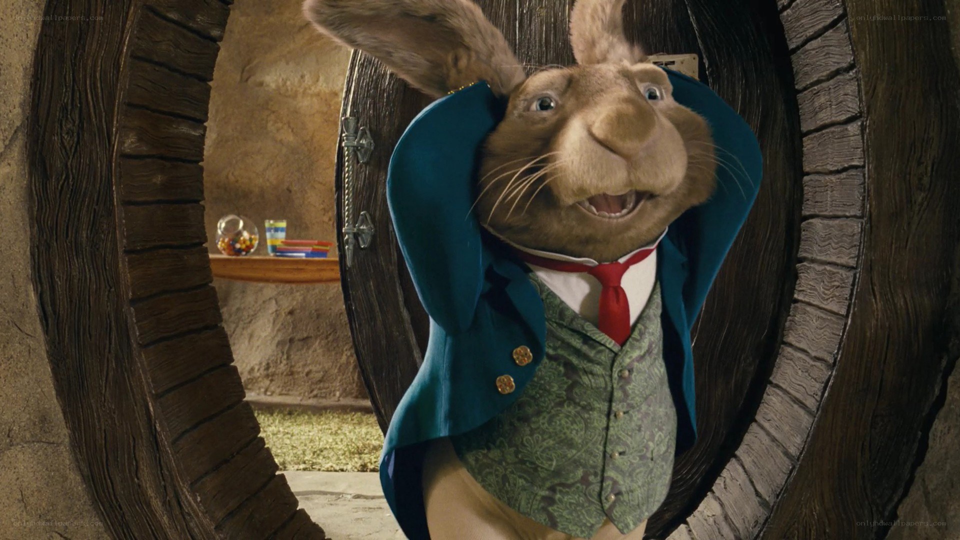 Mr. Bunny in a blue coat