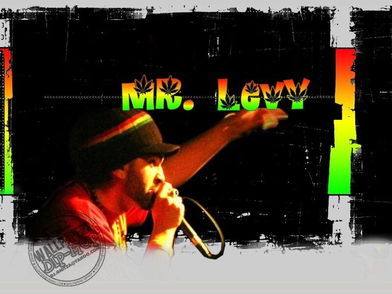 Mr. Levy performing on stage