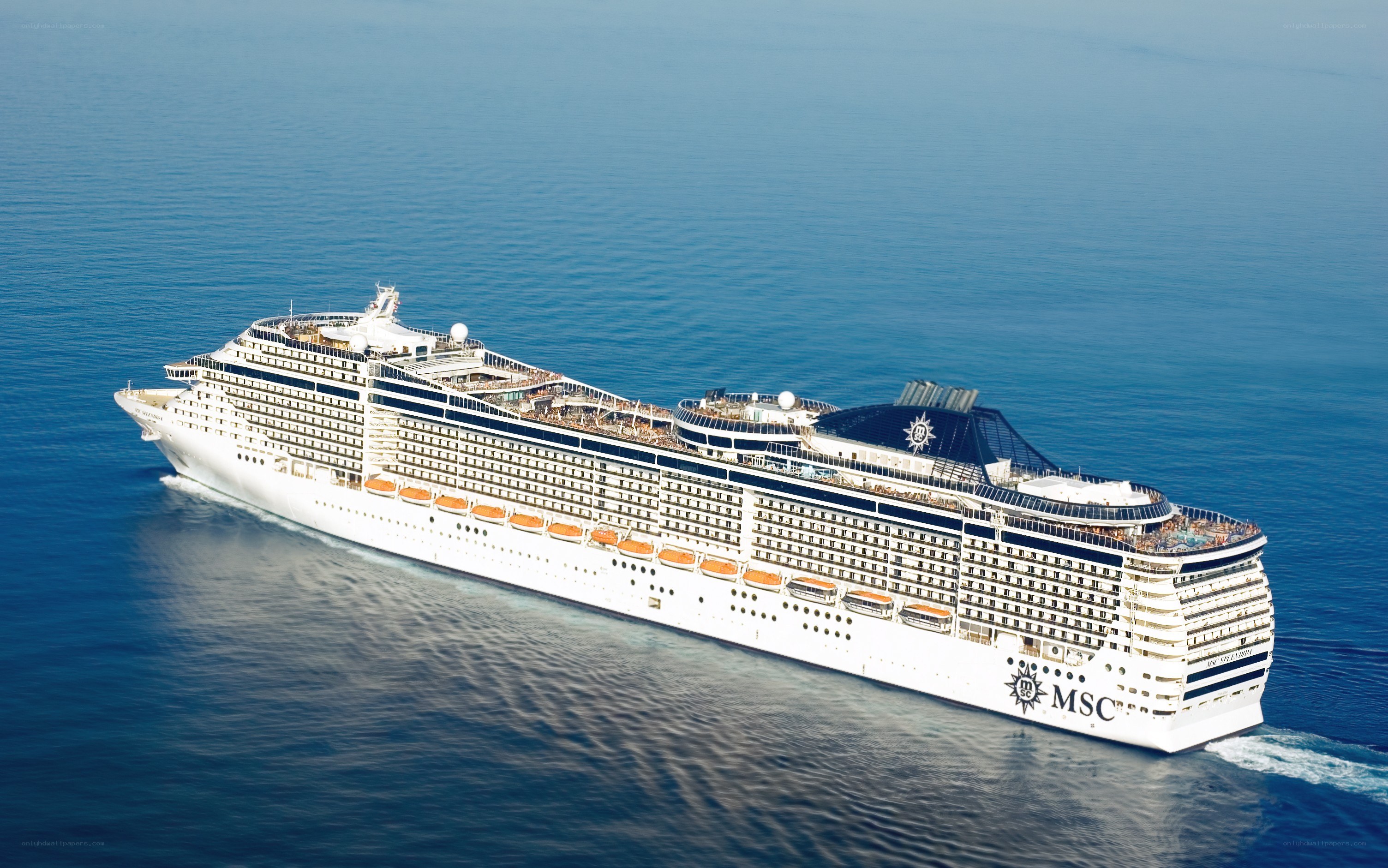 MSC cruise ship at sea