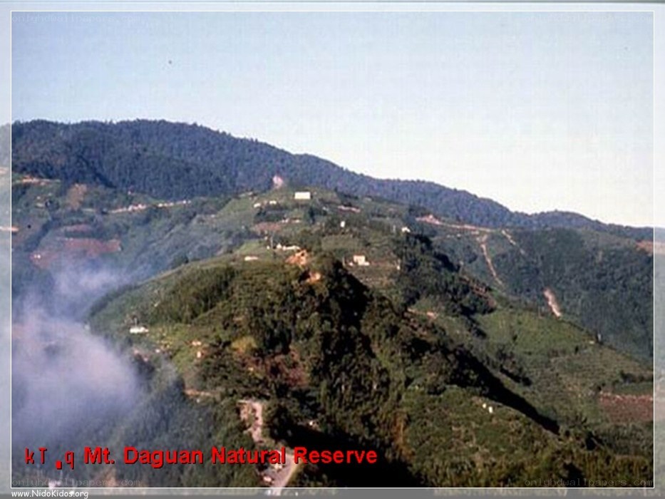Mt. Daguan Natural Reserve