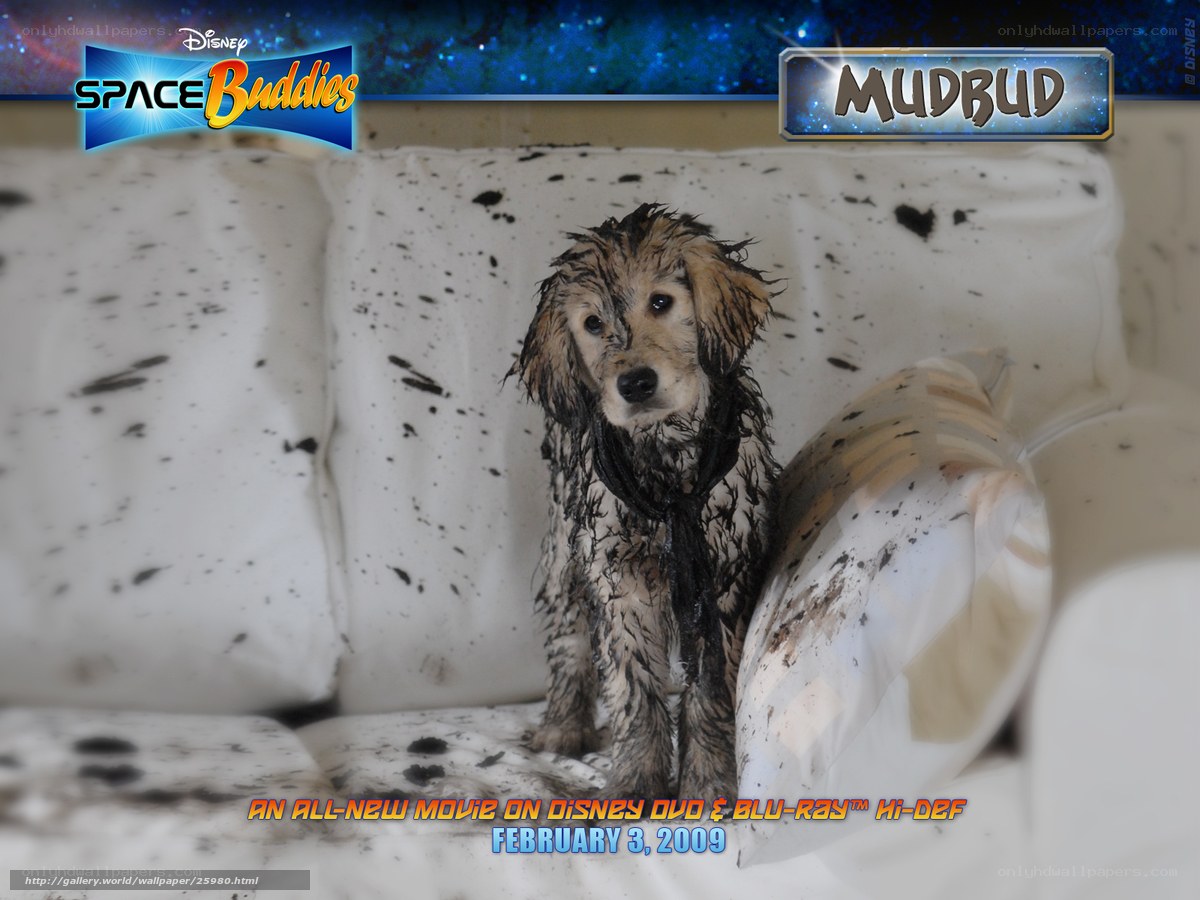 Mudbud on a couch