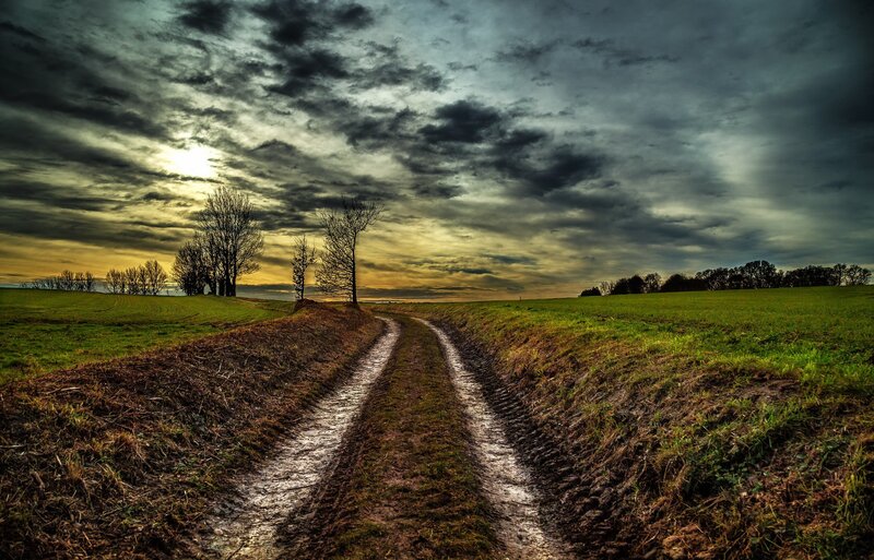Muddy Dirt Road — Green