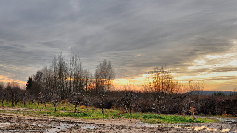 Muddy field at sunset