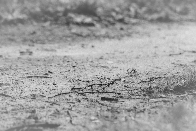 muddy ground with twigs