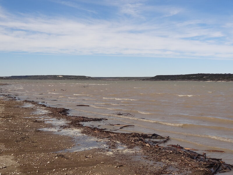 Muddy Lake Shore