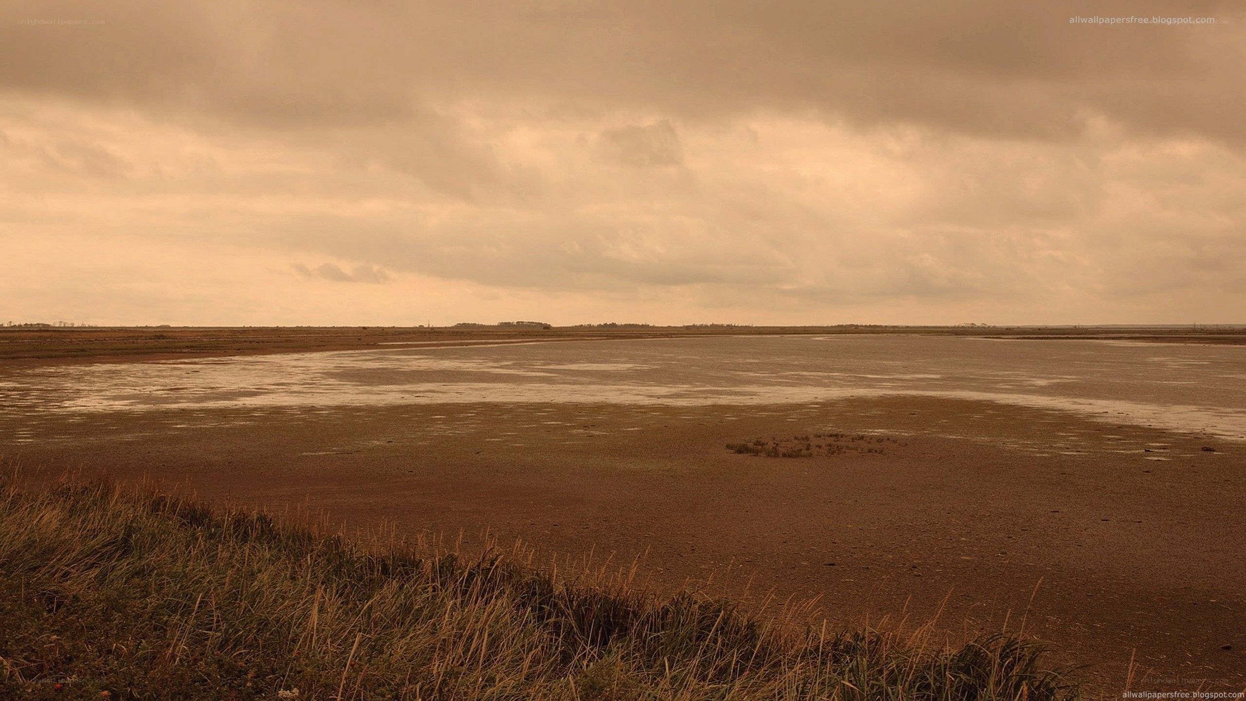 muddy marsh under cloudy sky