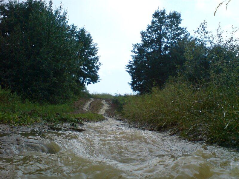 Muddy path after rainfall