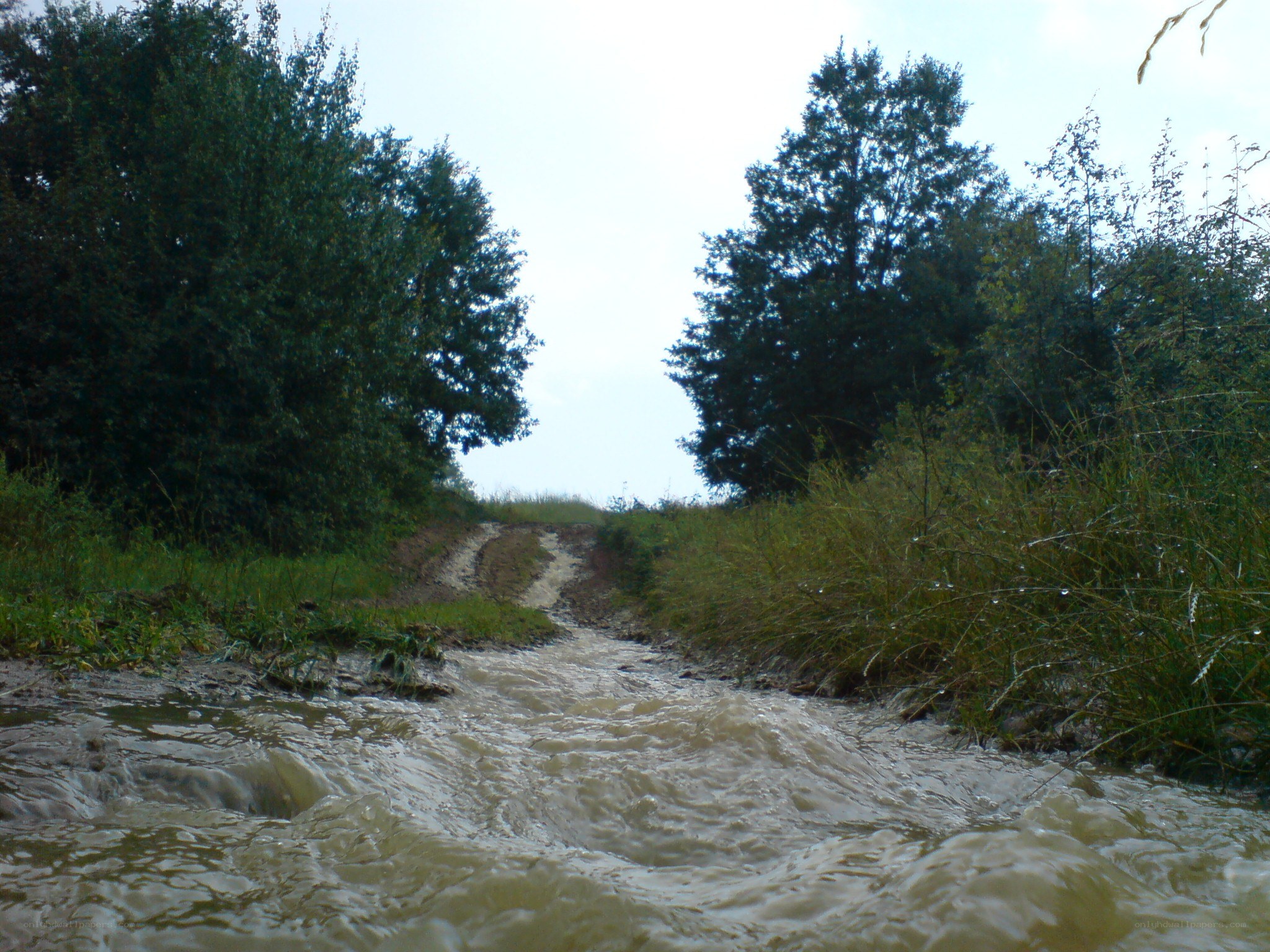 Muddy path after rainfall