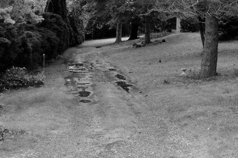 Muddy Path in Garden