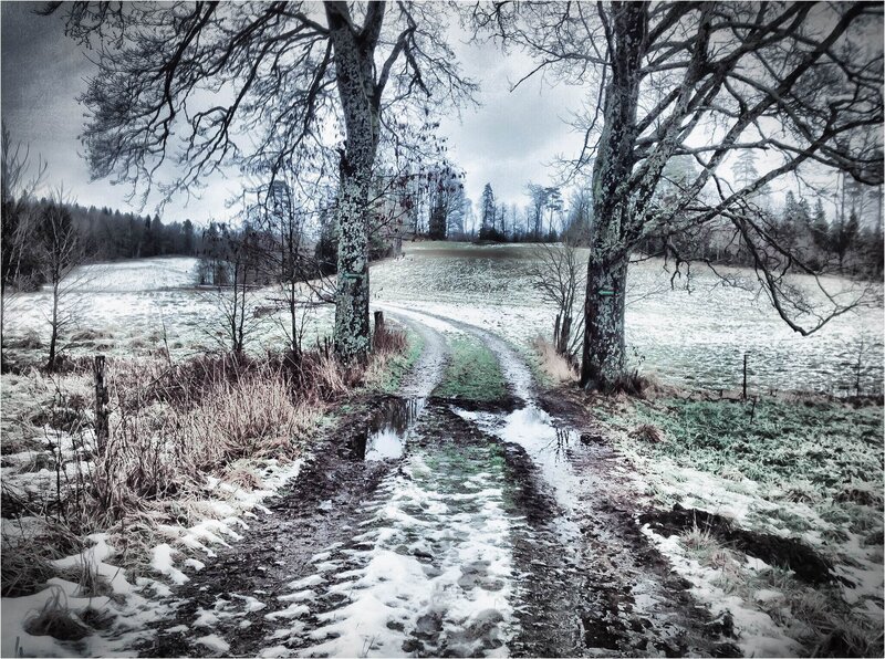 Muddy Path in Winter