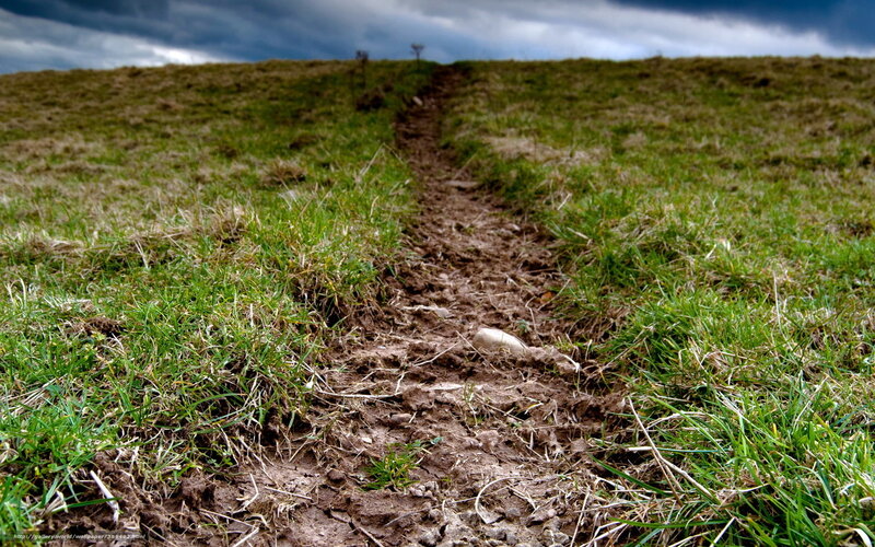 Muddy Path on Hillside