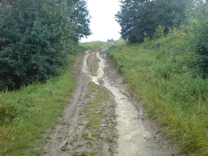 Muddy path with flowing water