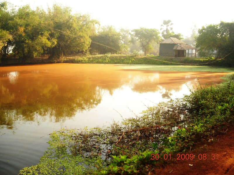 Muddy Pond with Hut