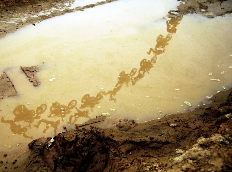 Muddy Puddle with Reflections — Brown