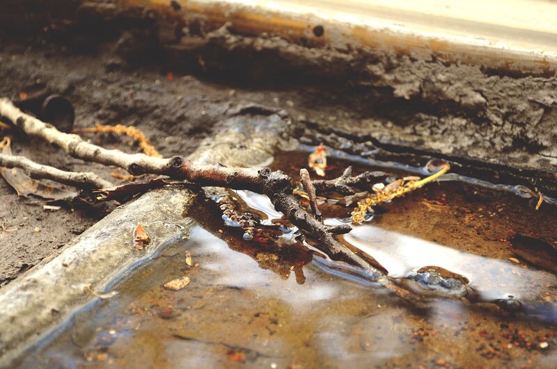 muddy puddle with twigs