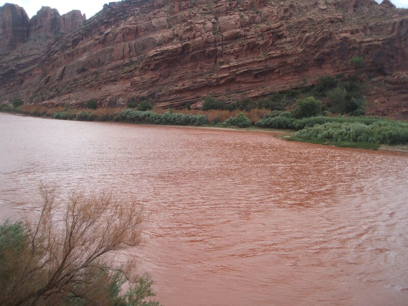 Muddy River in Canyon — Brown