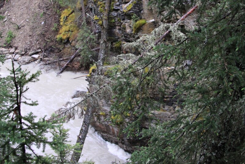Muddy River in Canyon — Green