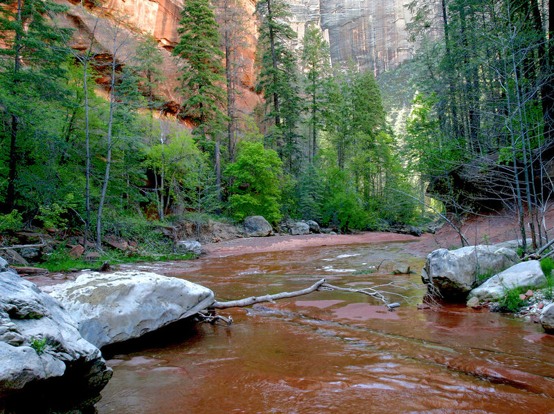 Muddy River in Canyon