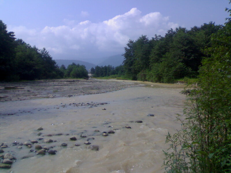 Muddy River in Forest — Green, Calm