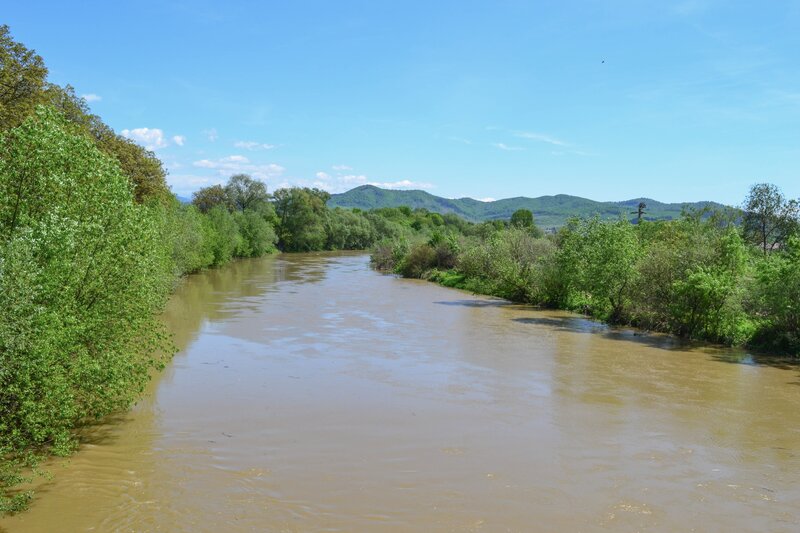 Muddy River in Valley