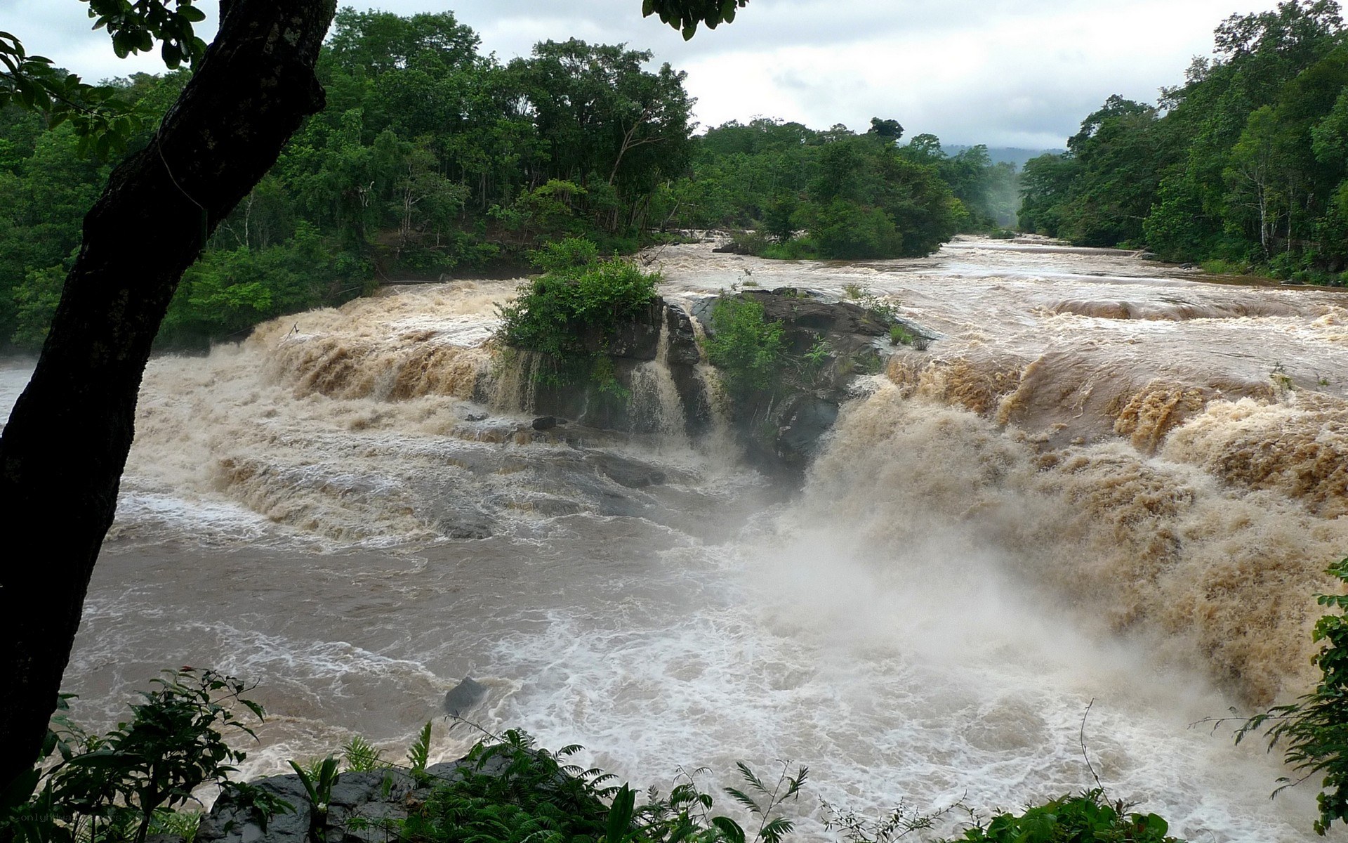 Muddy river waterfall in forest