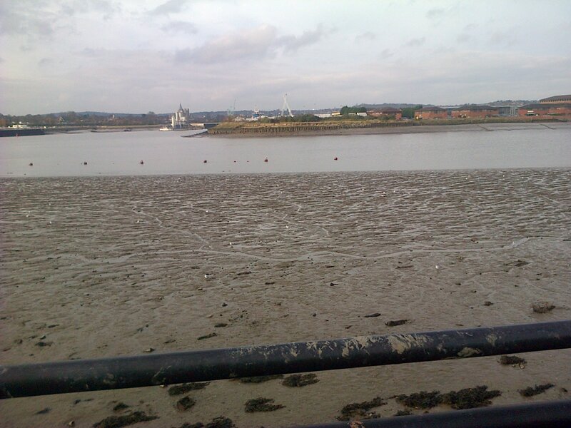 Muddy Riverbank at Low Tide