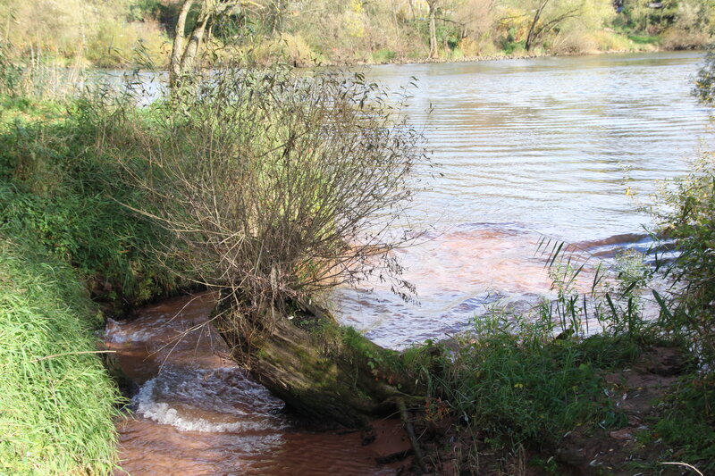 Muddy Riverbank