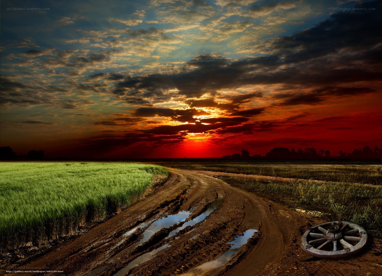 Muddy Road at Sunset