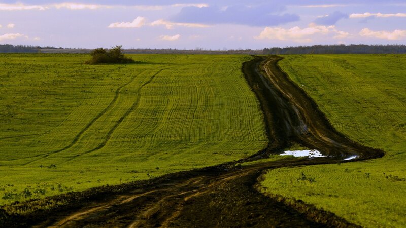 Muddy Road in Field