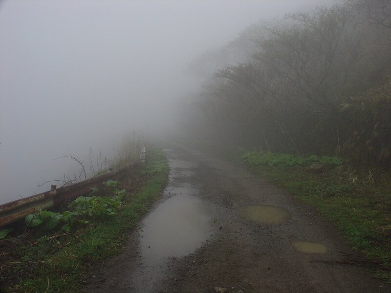 Muddy Road in Fog — Gray