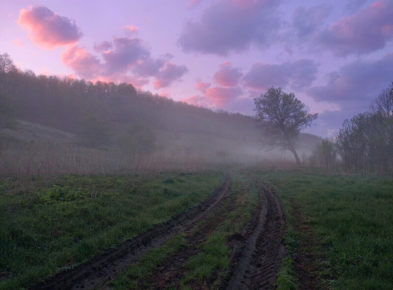 Muddy Road in Fog