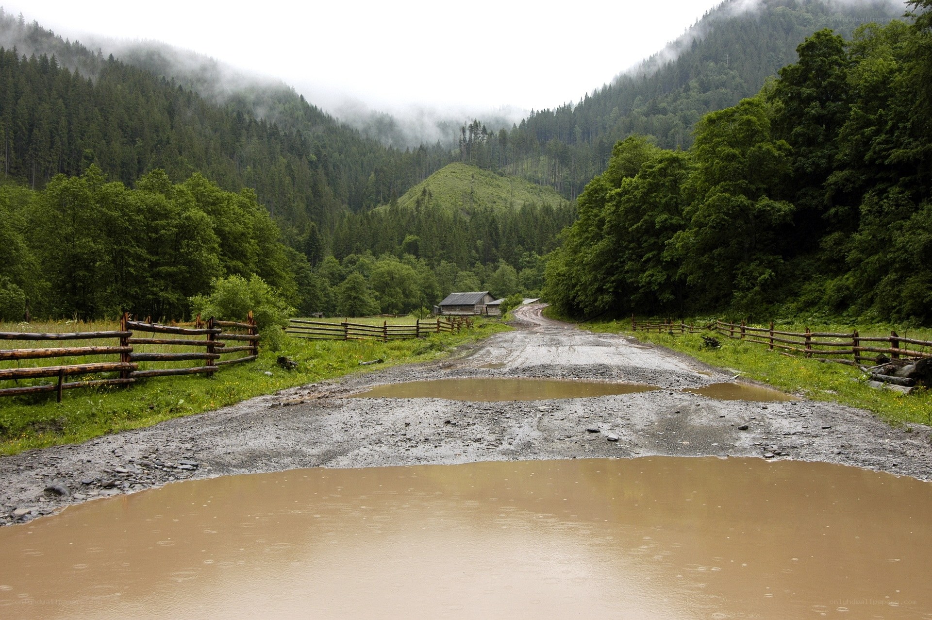 Muddy road in forested valley