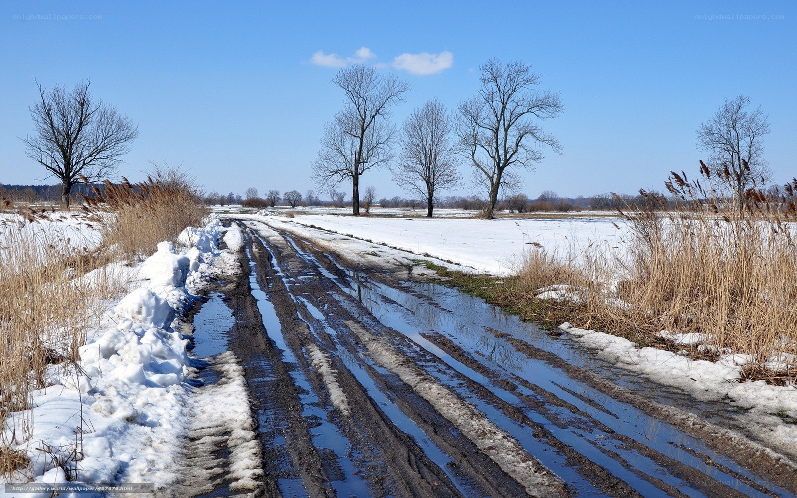 Muddy road in winter landscape