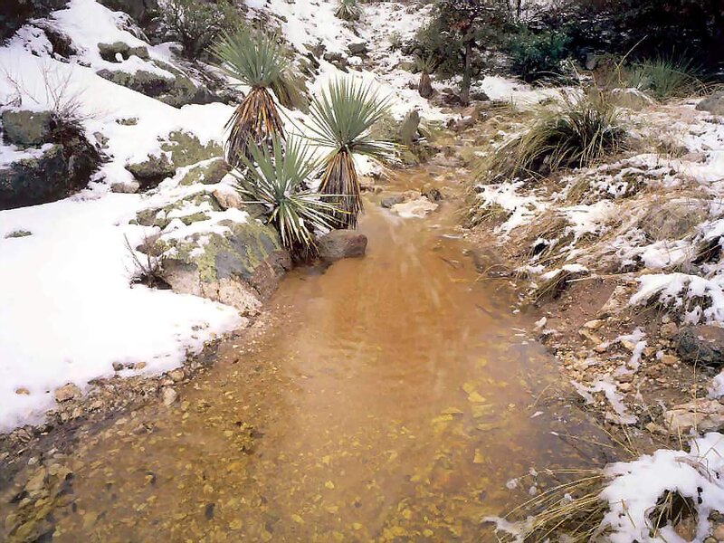 Muddy Stream in Snow