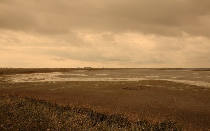 muddy tidal flats under cloudy sky