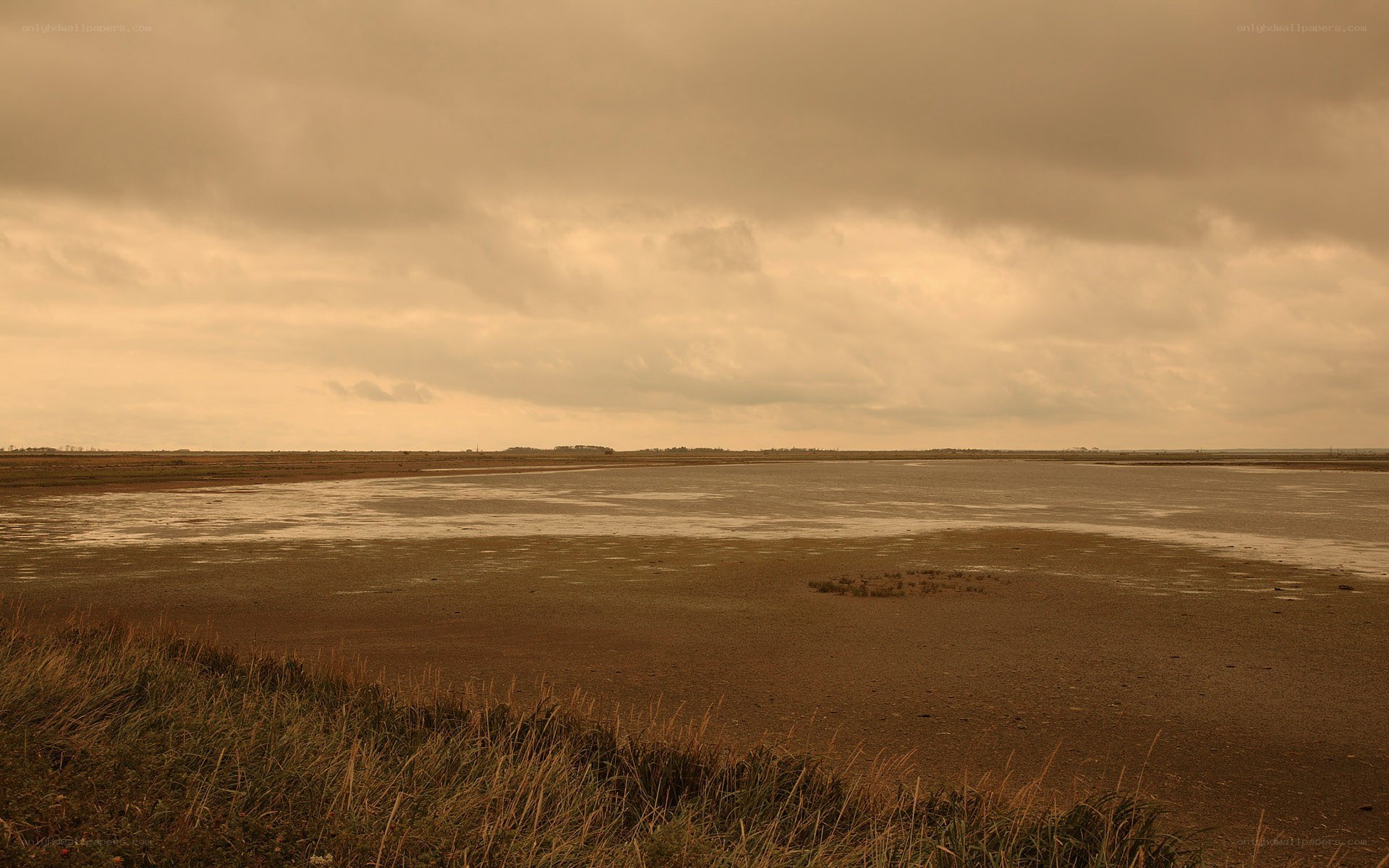 muddy tidal flats under cloudy sky