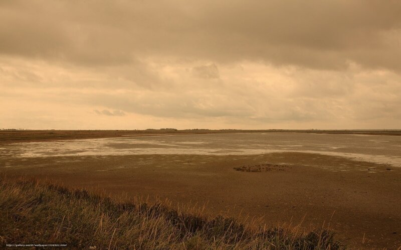 muddy tidal flats under cloudy sky