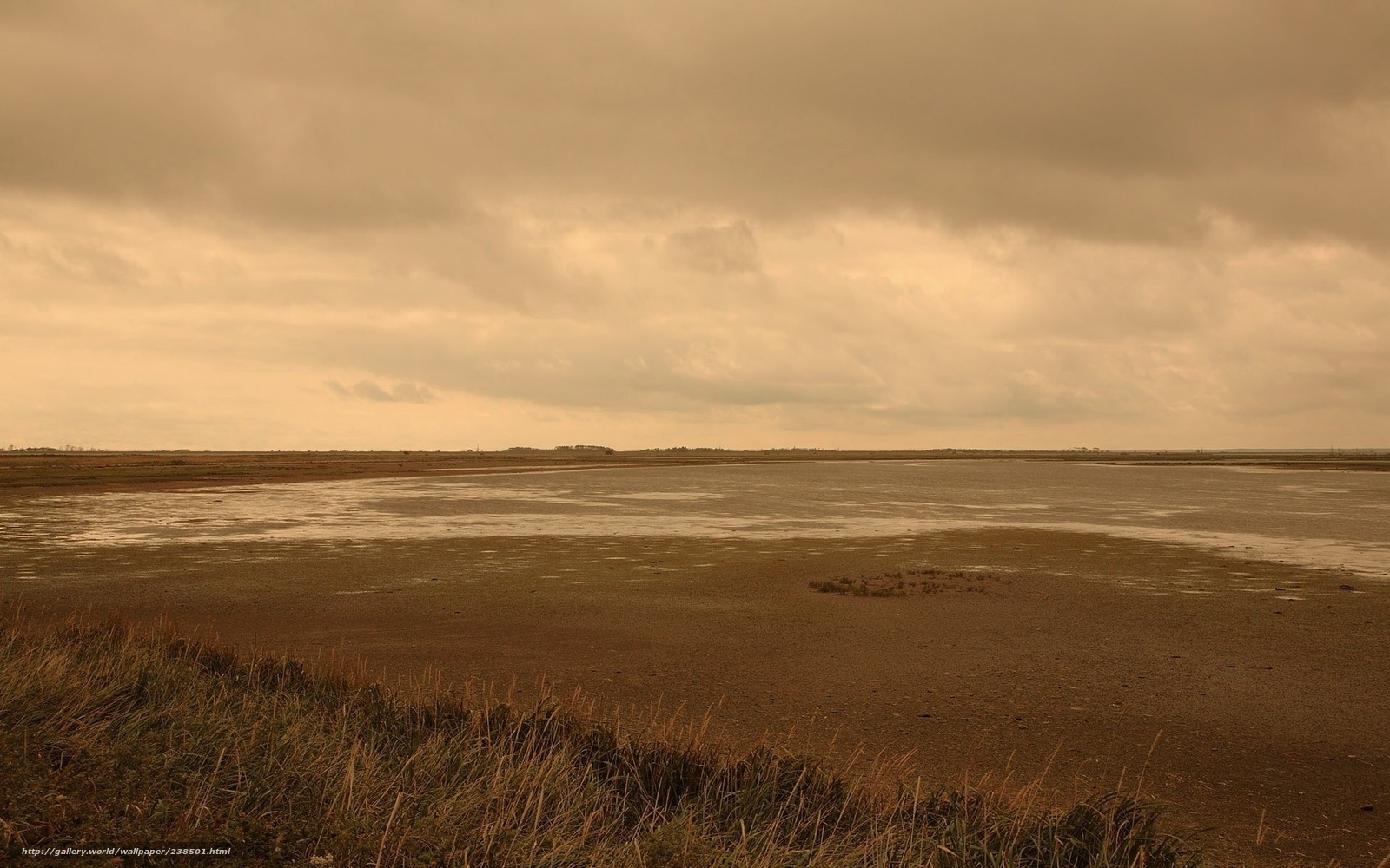muddy tidal flats under cloudy sky